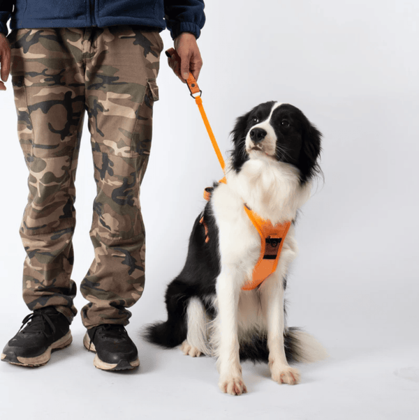 Poochbark™ 3 in 1 Dog Harness with Built-In Leash