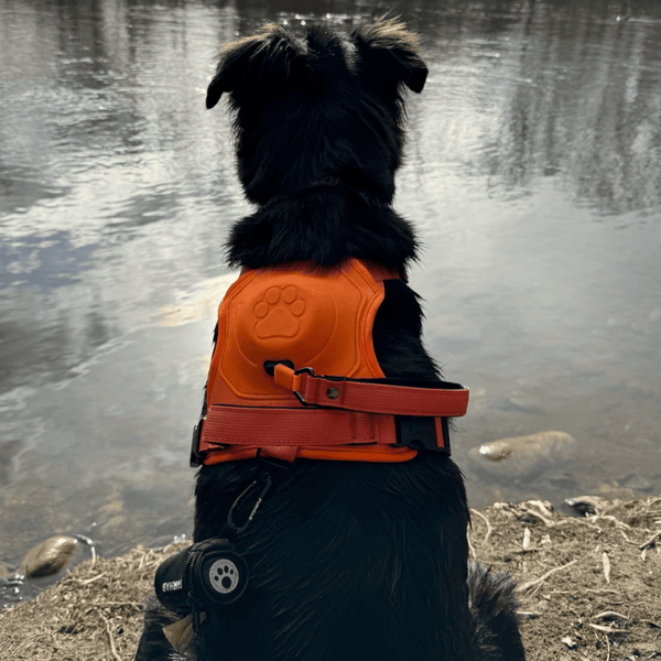 Poochbark™ 3 in 1 Dog Harness with Built-In Leash