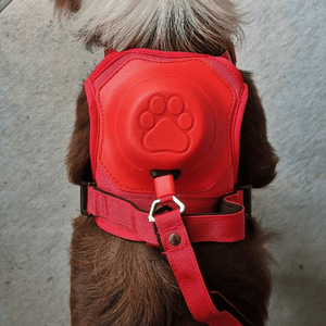 Poochbark™ 3 in 1 Dog Harness with Built-In Leash