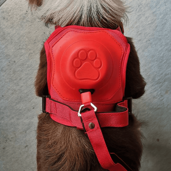 Poochbark™ 3 in 1 Dog Harness with Built-In Leash