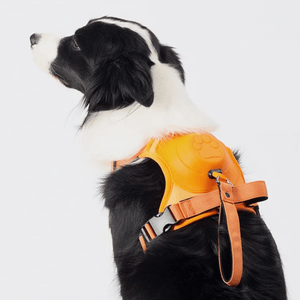 Poochbark™ 3 in 1 Dog Harness with Built-In Leash