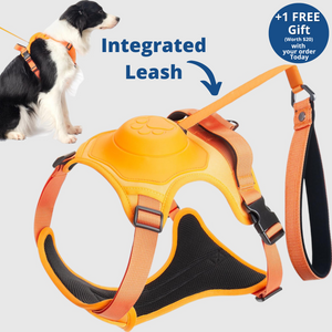 Poochbark™ 3 in 1 Dog Harness with Built-In Leash