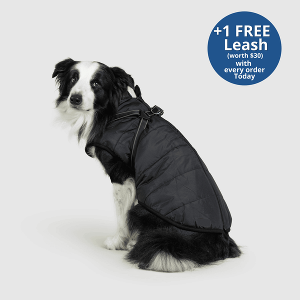 PoochBark™ 3 in 1 Winter Jacket