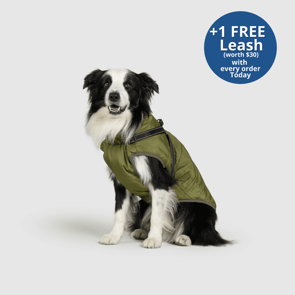 PoochBark™ 3 in 1 Winter Jacket