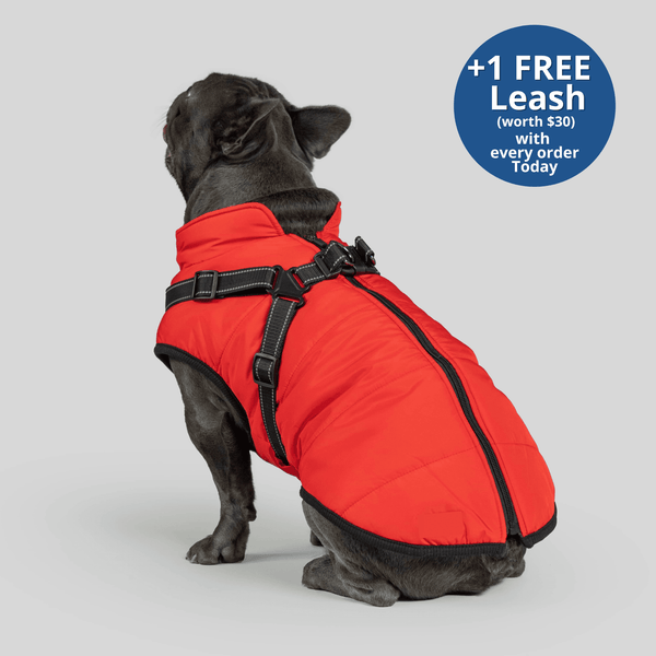 Dog winter coat with built in harness best sale