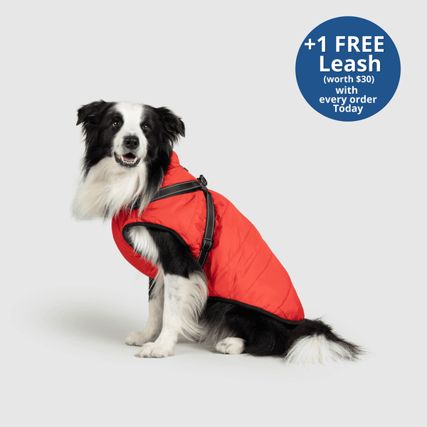 PoochBark™ 3 in 1 Winter Jacket