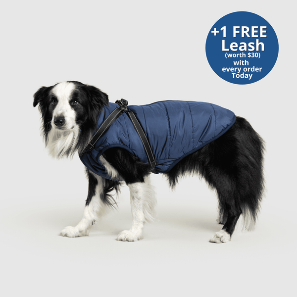 PoochBark™ 3 in 1 Winter Jacket