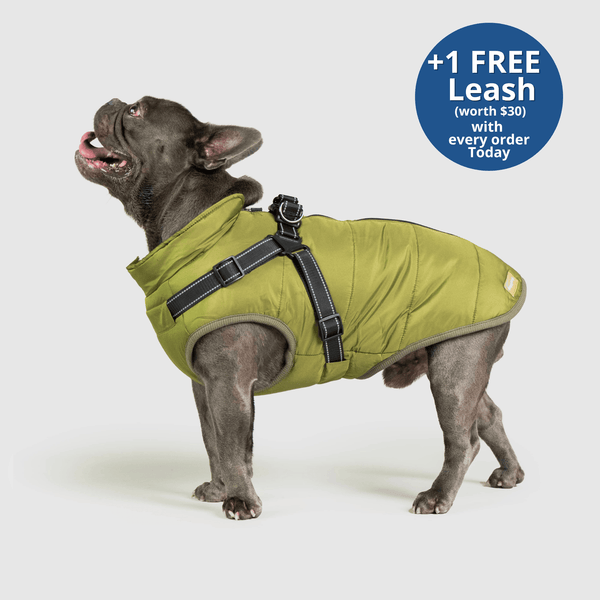 PoochBark™ 3 in 1 Winter Jacket