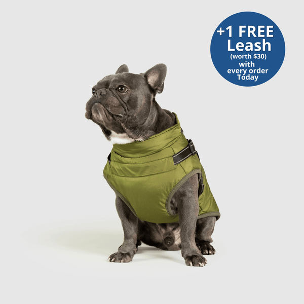 PoochBark™ 3 in 1 Winter Jacket