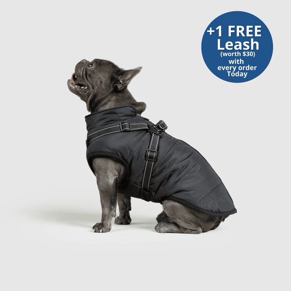 PoochBark™ 3 in 1 Winter Jacket