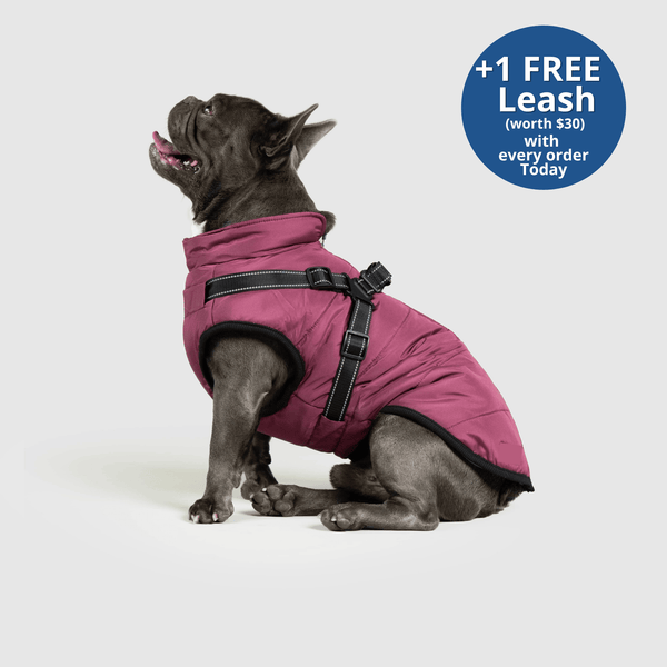 PoochBark™ 3 in 1 Winter Jacket