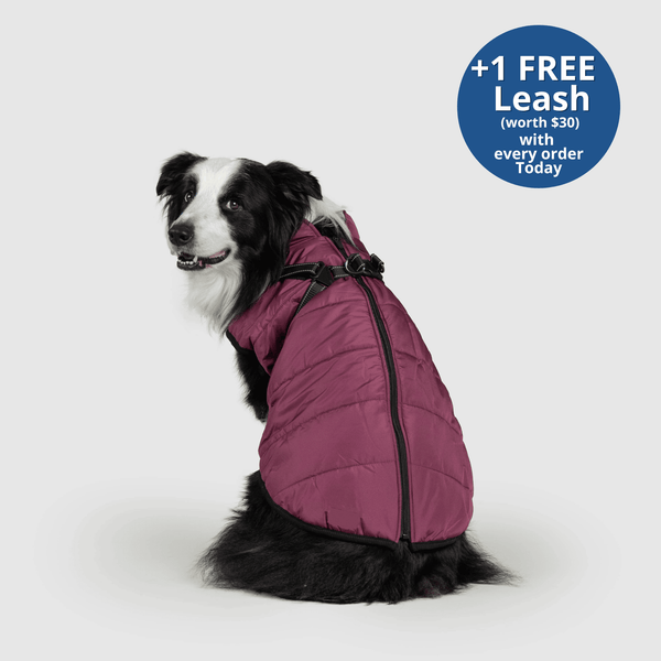 PoochBark™ 3 in 1 Winter Jacket