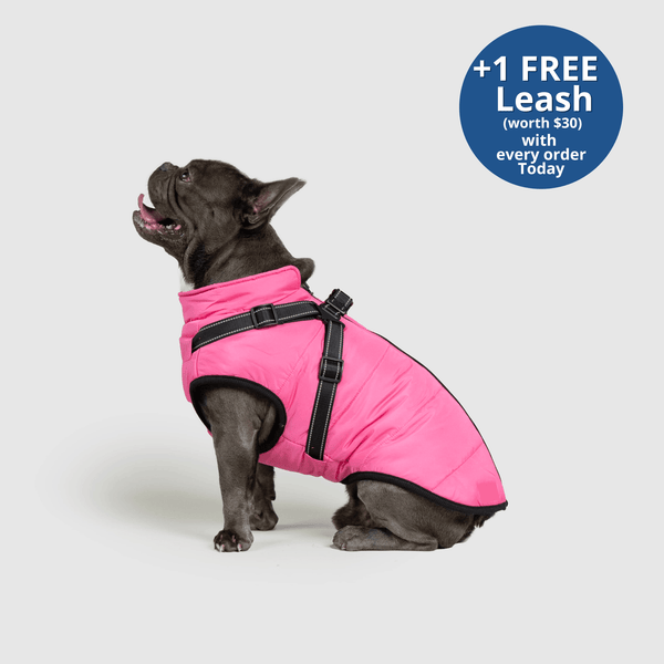 PoochBark™ 3 in 1 Winter Jacket