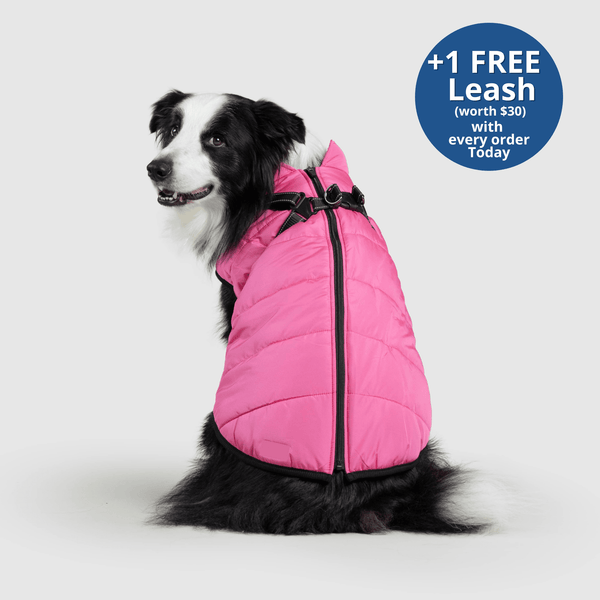 PoochBark™ 3 in 1 Winter Jacket